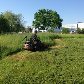 Žolės pjovimas